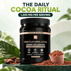 High-Flavanol Cocoa Powder — 1,200 mg Per Serving