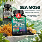Shilajit + Sea Moss Daily Performance Bundle