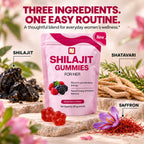 Women's Shilajit Gummies — Energy, Mood & Vitality Support