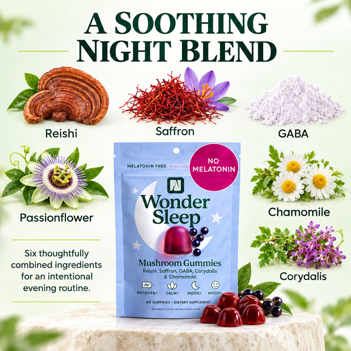 Sleep Support Mushroom Gummies