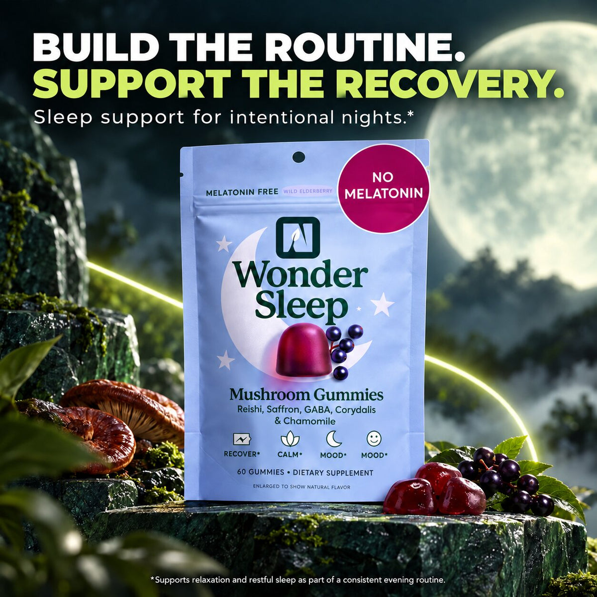 Sleep Support Mushroom Gummies