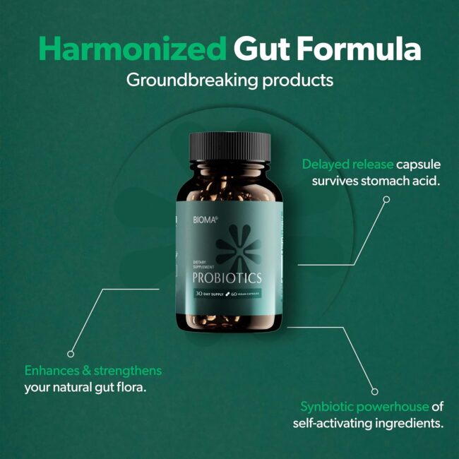 Bifidobacterium Vegan & Gluten Free 60 - Image 2