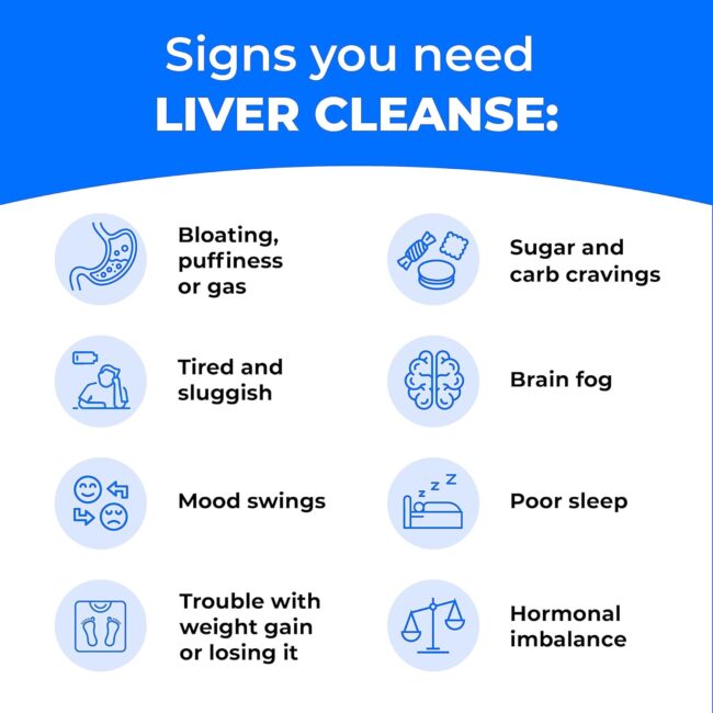 Liver Health Dandelion Root,30 Days Supply - Image 4